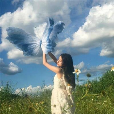 一路格桑花